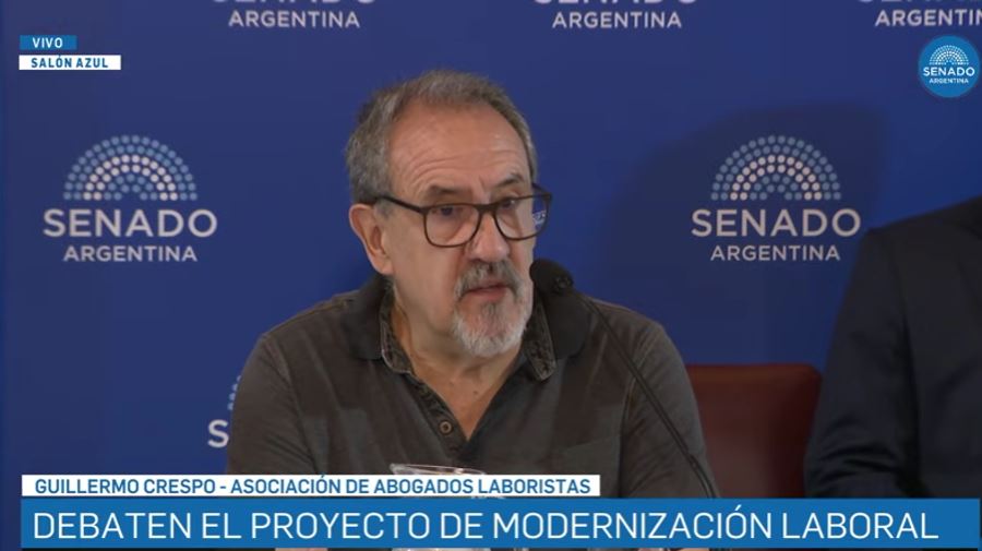 Perez Crespo expuso en el Senado